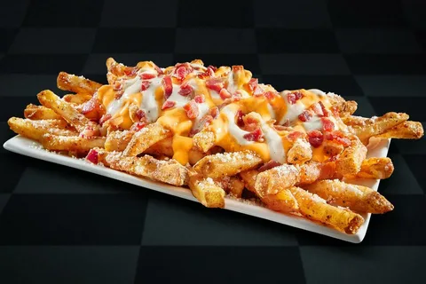 Famous Seasoned Fries at Checkers